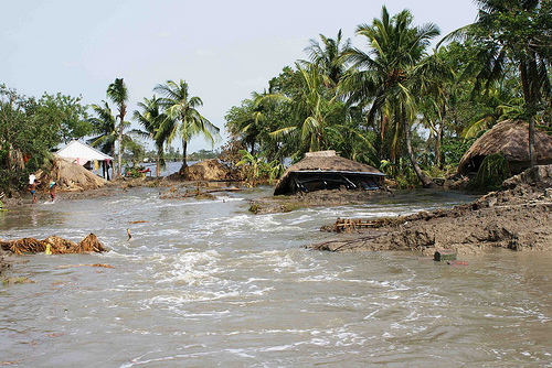 Broken Embankment leads to flooding of Village